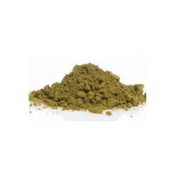 PIGMENT - Vert olive