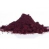 PIGMENT - Oxyde de fer rouge V.180 van dyck sup