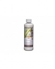 Galtane - Carnauba émulsion concentrée 500ml