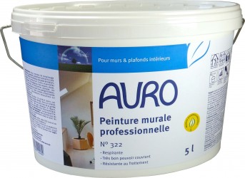 Peinture murale à  l&#039;eau satinée 322